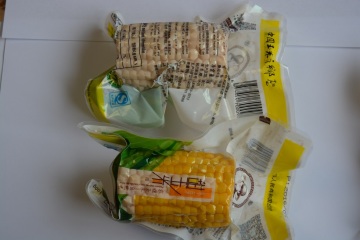 Export Standard Quality of Fresh Sweet corn