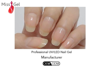 2816 Base Gel