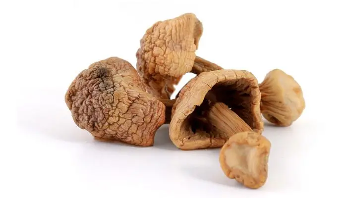 Dried Agaricus Subrufescens Blazei Murr Mushroom