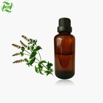 OEM ODM 100% Pure Essential Oil Spearmint oil