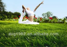 Decorative Plant Artificial Grass