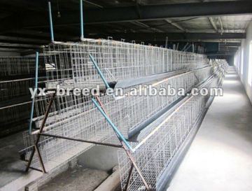 chiken feed cages poultry equipment for farm