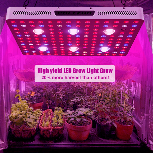 Chips Cree originais luzes LED para plantas