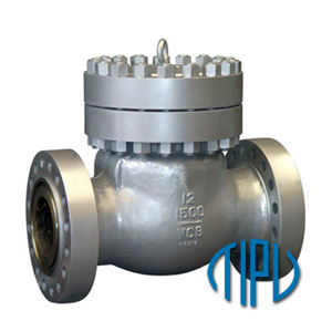 Full Opening Type Check Valve API 6D