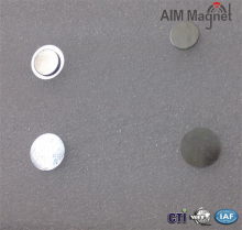 Magnets with Steel Plate