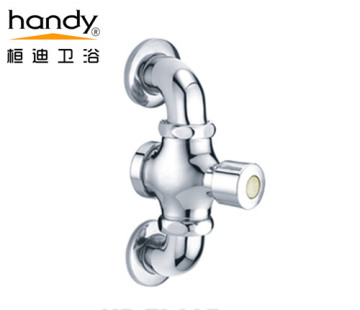 Dual Wall Mounted Self Closing Flush Valves