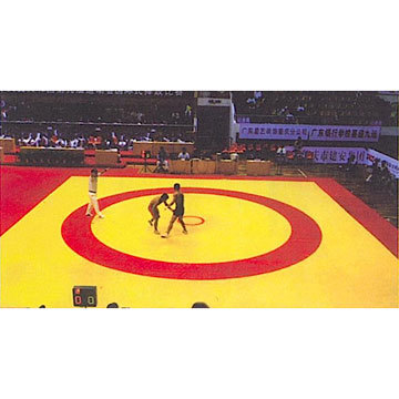 Wrestling Mat