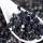 Qinghai Chaidamu Özel Yüksek Dereceli Siyah Goji Berry
