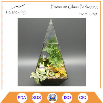 Tabletop Geometric Glass Terrarium Box Succulent Moss Fern Cacti Case