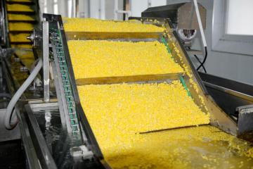 Best Sales Good Quality IQF Frozen Sweet Corn