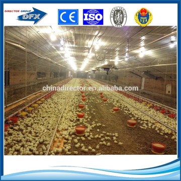 steel structure prefab chicken farm