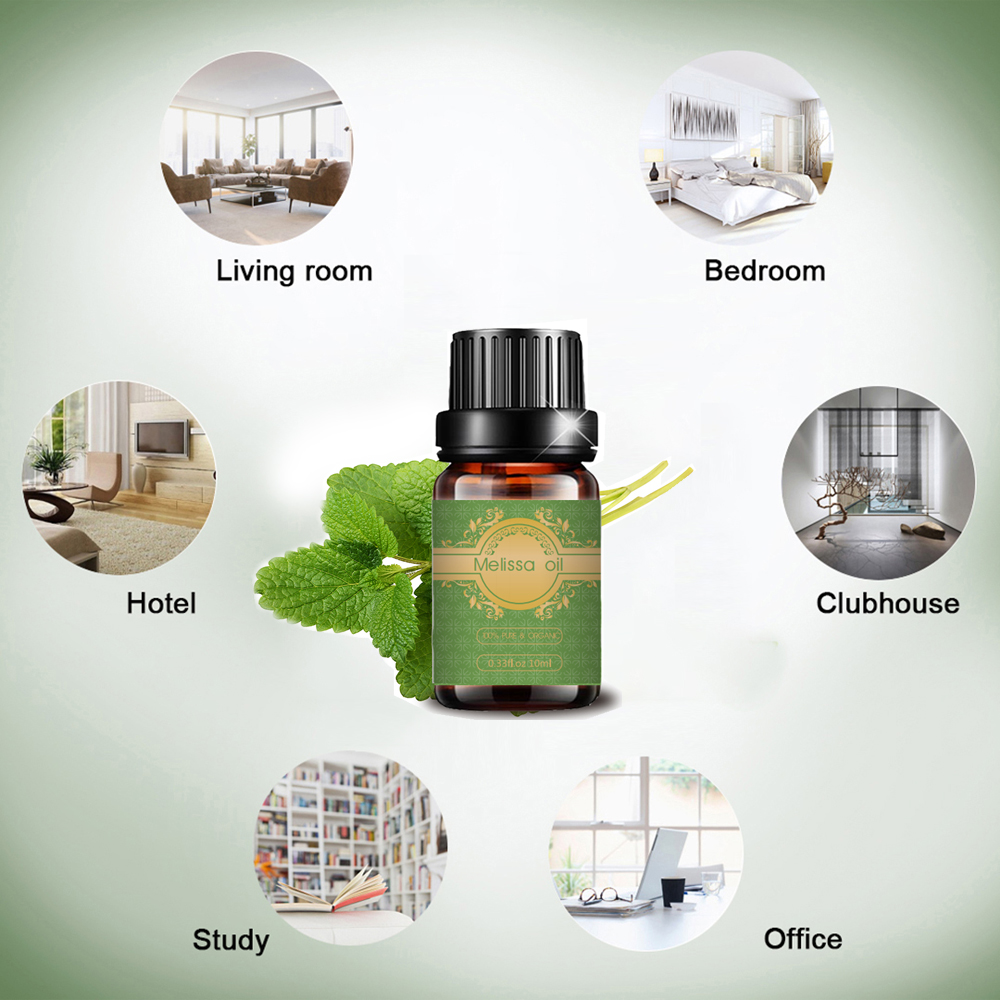 Wholesale price melissa essential oil for skin health