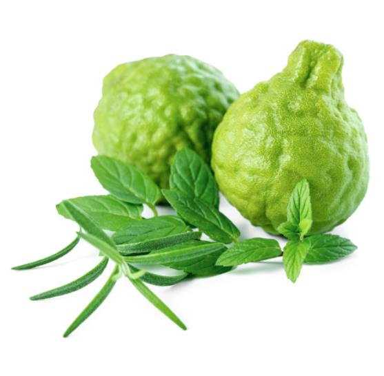 Olej aromaterapeutyczny olejku eterycznego Bergamot