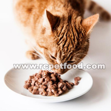 cat food vegetarian pet food