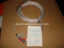 WZP2-001 bearing temperature probe, RTD pt100, thermocouple