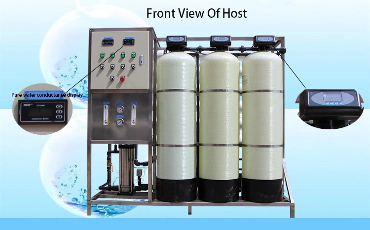 Reverse Osmosis 1000lph Two Stage RO and EDI Deionized RO Water Purifier Treatment Plant Machine