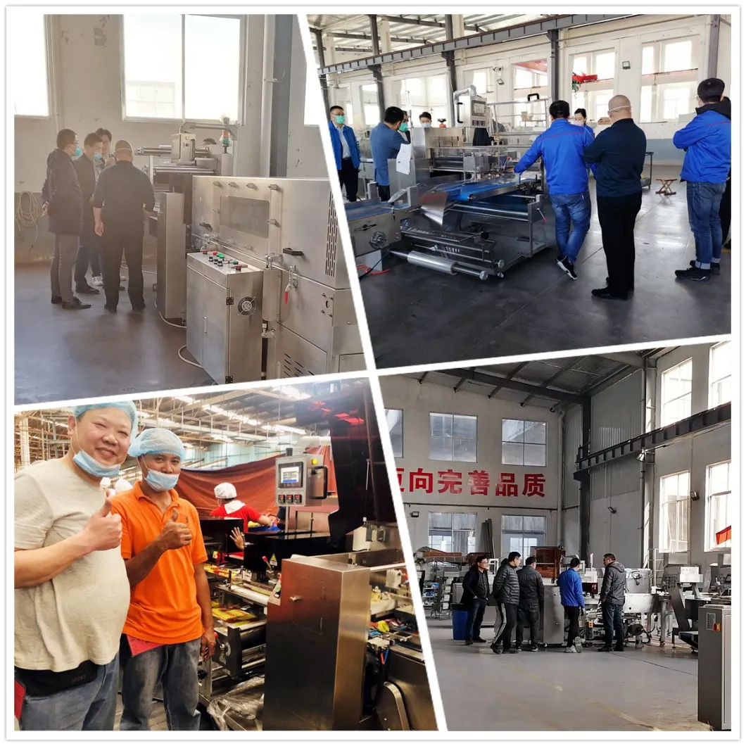 Roti Tortilla Flat Pita Bread Flatbread Frozen Pizza Base Pancake Food Reciprocating Pillow Flow Pouch Easy Setting Multi Function Packing Packaging Machinery
