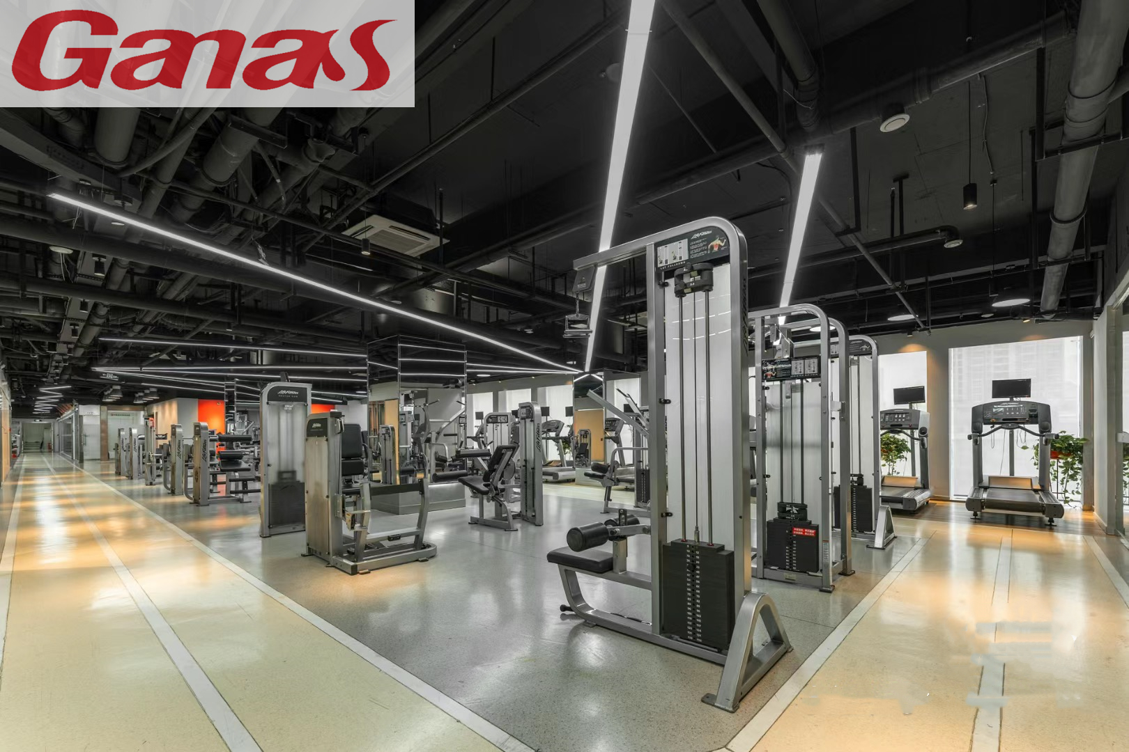 Reliable fitness equipment supplier (3)