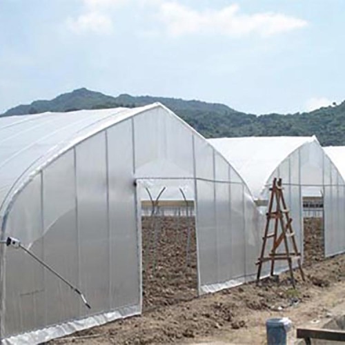 Polytunnel greenhouses growing vegetables