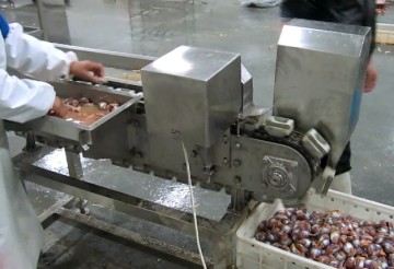 Poultry Gizzard Processing Machine