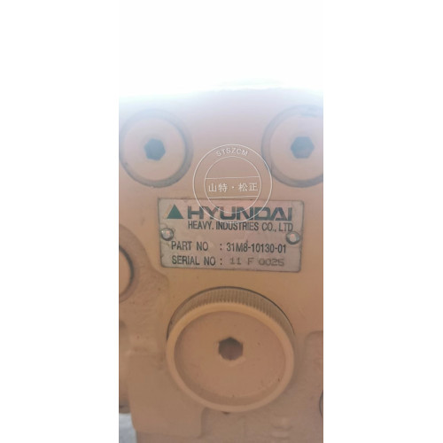 Hyundai R55-7, R55-7A Swing Motor 31m8-10130-0