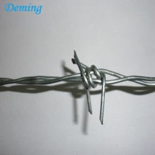 Quality Galvanized Barbed wire with cheap price