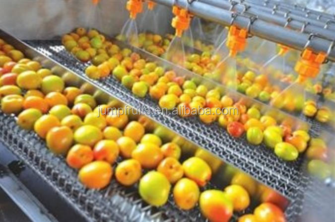Máquina de pasta de tomate pequeña de acero inoxidable con capacidad de 500kgs a 50tph stainless steel small tomato paste machine with 500kgs to 50tph capacity