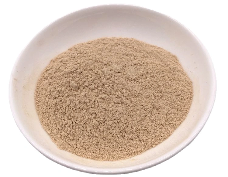 Air Dried Champignon Mushroom Agaricus Bisporus Powder