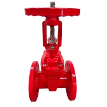 Cast Iron Flanged Gate Antipollution Check Valves Underground Water for Fire Rising Stem Gate Valve