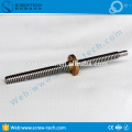 Tornillo de plomo de 24 mm con hilo para TR24X10