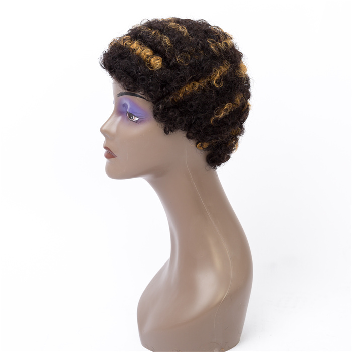 Most Popular Afro Bob For Black Women Hair Texture Rich Production Experience   Short Curly Human Hair Wig
