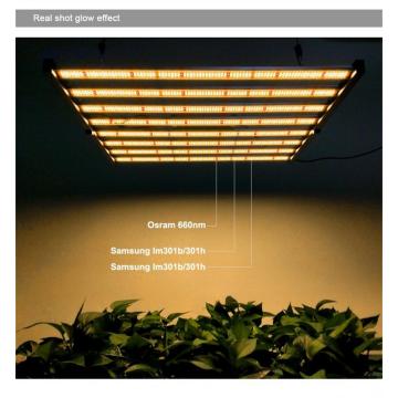 Phlizon 600W Vertical Farming Grow Light Spectrum