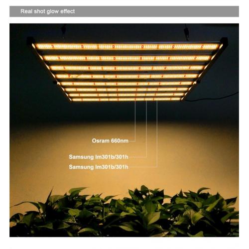 Phlizon 600W Vertical Farming Grow Light Spectrum