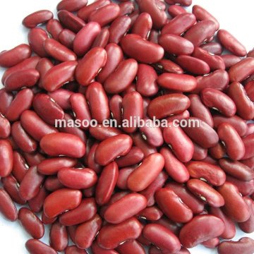 Red Kidney Beans,Dark Red Kidney Beans(English type)