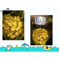 Hot sales10kg mesh bag Anqiu fresh ginger