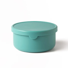 Everyday Colorful Silicone Bento Box