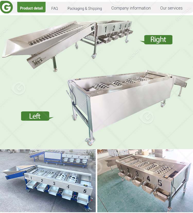 Mango Date Automatic Cherry Vegetable Fruit Olive Garlic Size Grading Sorting Machine for Fruit and Table