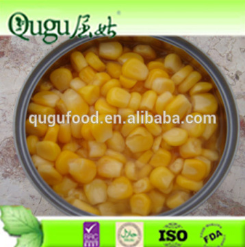Canned sweet corn factory thailand sweet corn frozen sweet corn