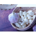 EU standard 2021 crops dehydrated new garlic