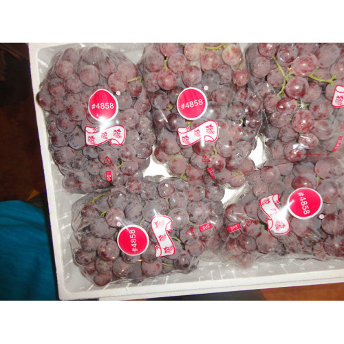 22-26 მმ წითელი გლობუსის ყურძენი