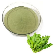 Spinach Extract(Spinach Juice Powder)