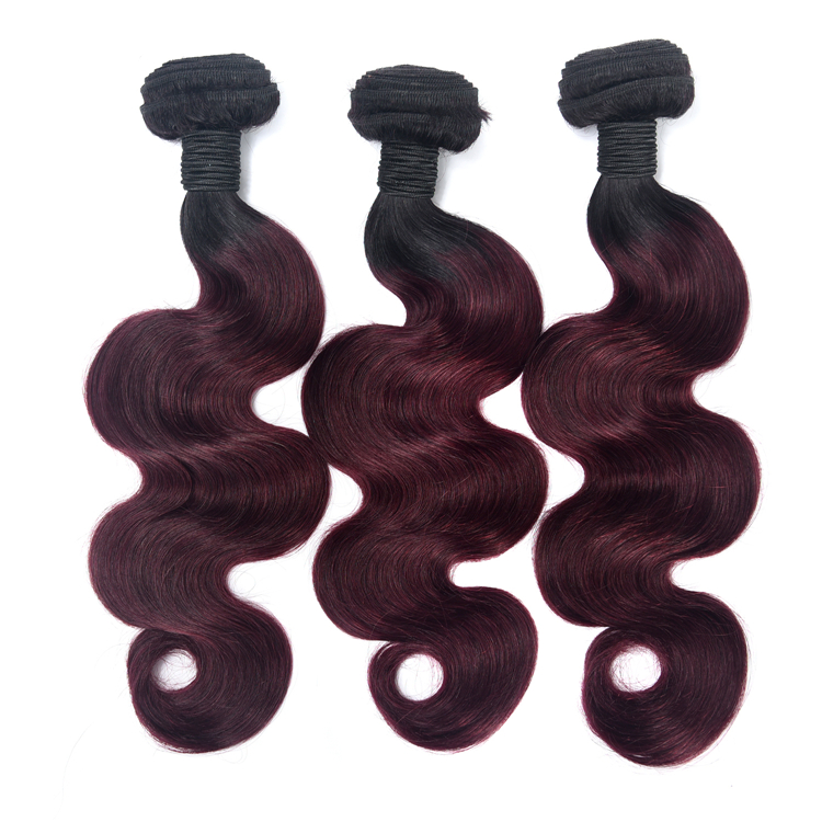 Brazilian Raw Virgin Hair Ombre 1B 99J Human Hair Weave Bundles 100 Cheap Ombre Hair Extension For Braiding