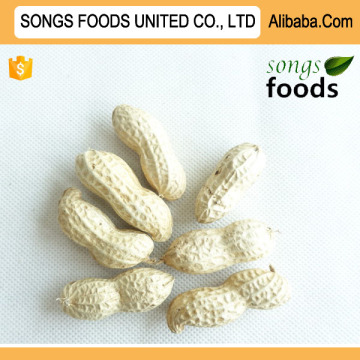 Peanut Meal Groundnut Meal Cheap Peanut Price