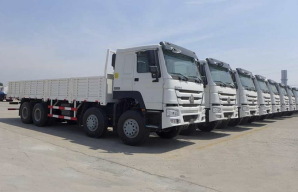 Howo Cargo Truck (2) HOWO Cargo Truck (2)