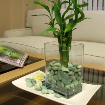 Wholesale Cheap River Stones for Home Decoration