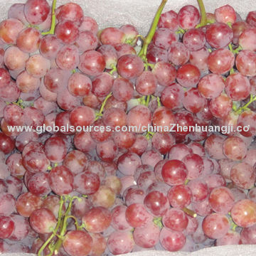 Red Global Grape