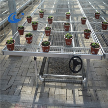 Seed Bed Bench for Greenhouse Seedling Trays