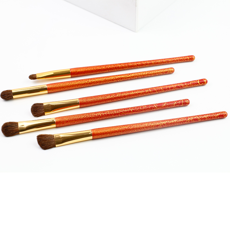 Eye Makeup Brush Set 5pcs