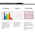 FCC ETL Certificate 3000W COB Grow Light