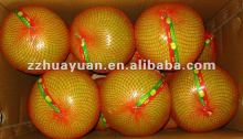 China Fresh Shatian pomelo